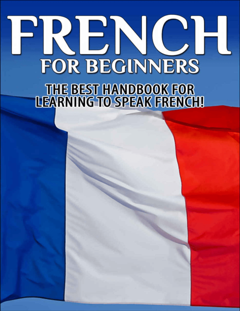 Rich Results on Google's SERP when searching for 'French For Beginners The Best Handbook'