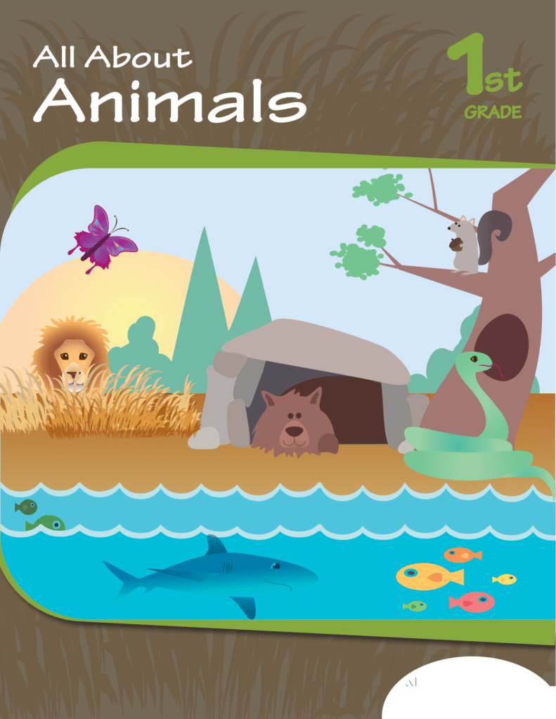 Rich Results on Google's SERP when searching for 'All About Animals 1st Grade Workbook'