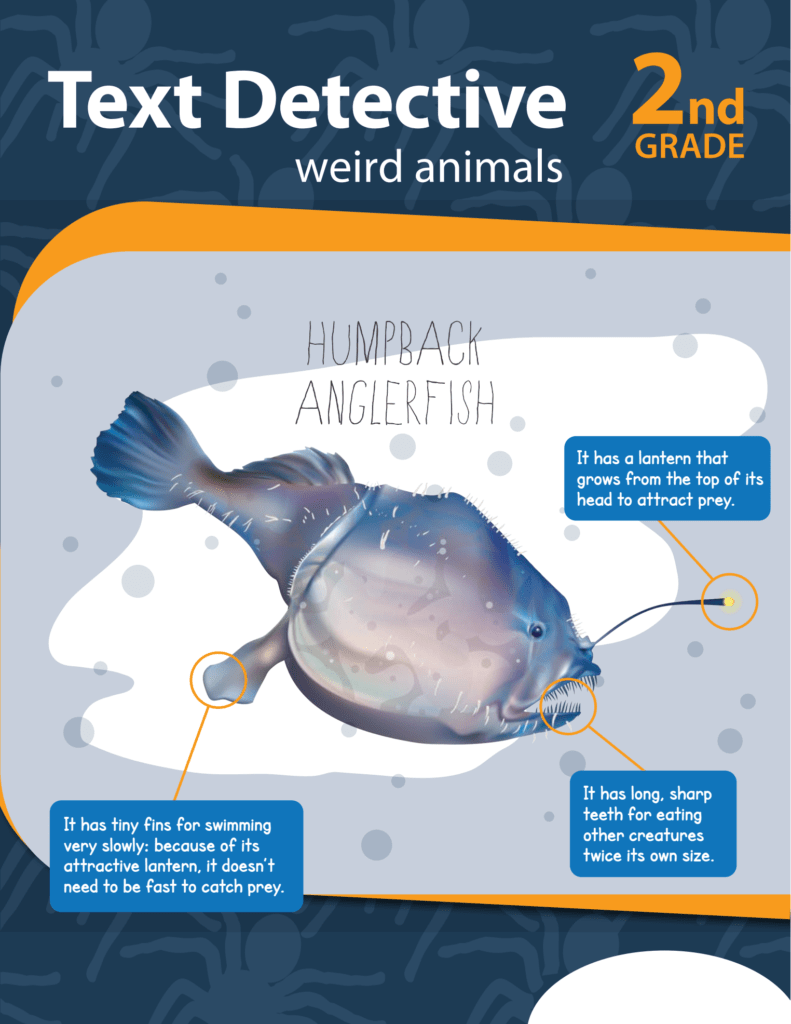 Rich Results on Google's SERP when searching for 'Text Detective Weird Animals 2nd Grade Workbook'